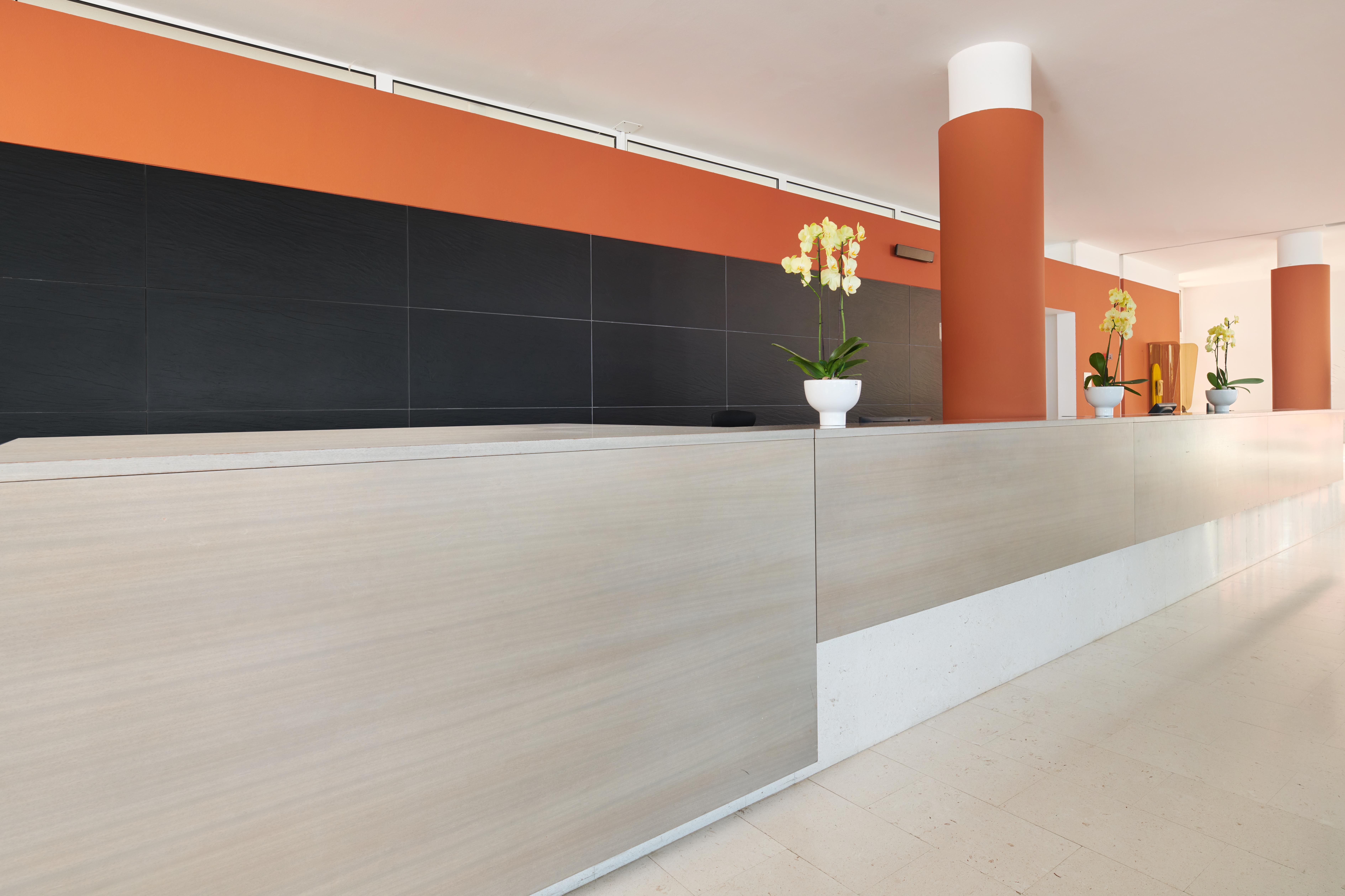 פורץ Hotel Albatros Plava Laguna מראה חיצוני תמונה